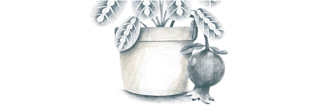 Fenwick-Longview-65-Interstitial